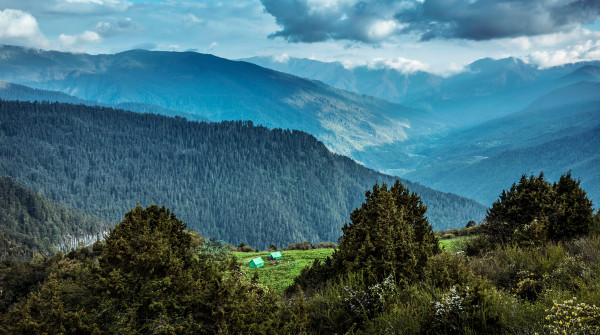 Bhutanese wilderness