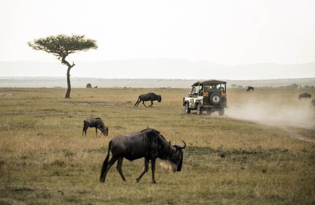 Honeymoon in Kenya