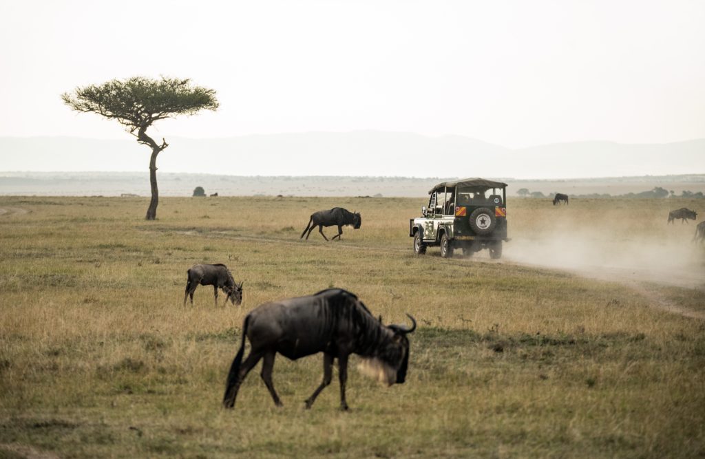 Honeymoon in Kenya