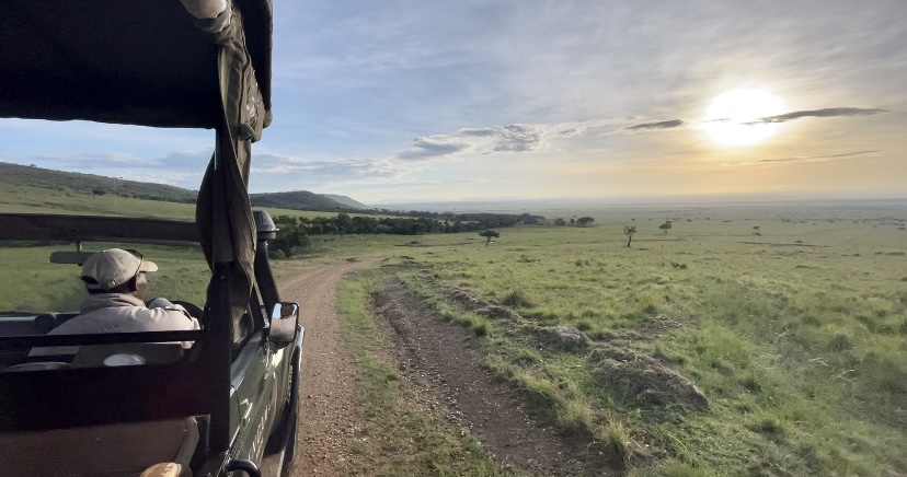 Angama Mara - game drive