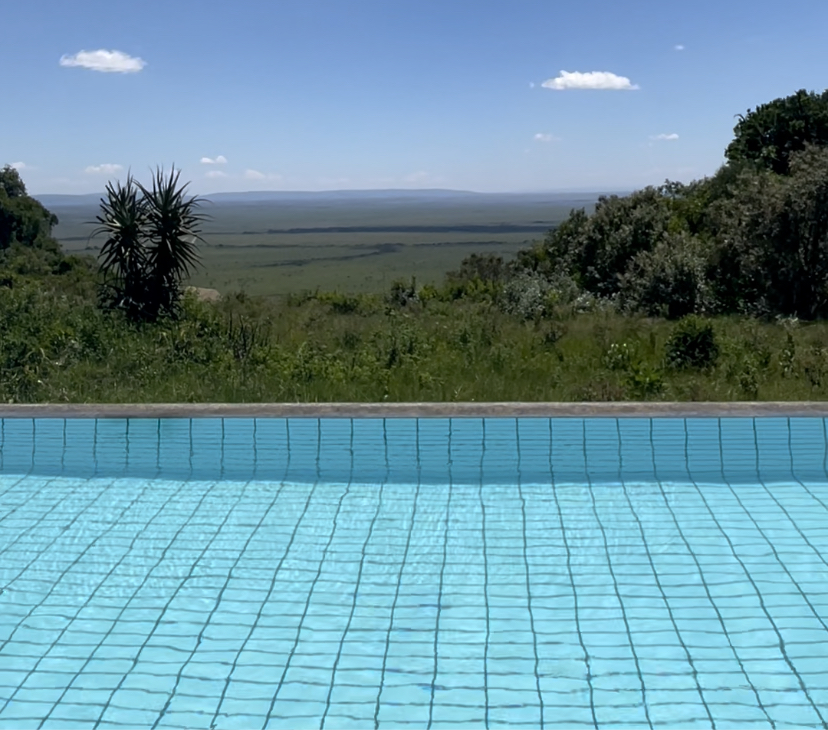 Angama Mara, the pool
