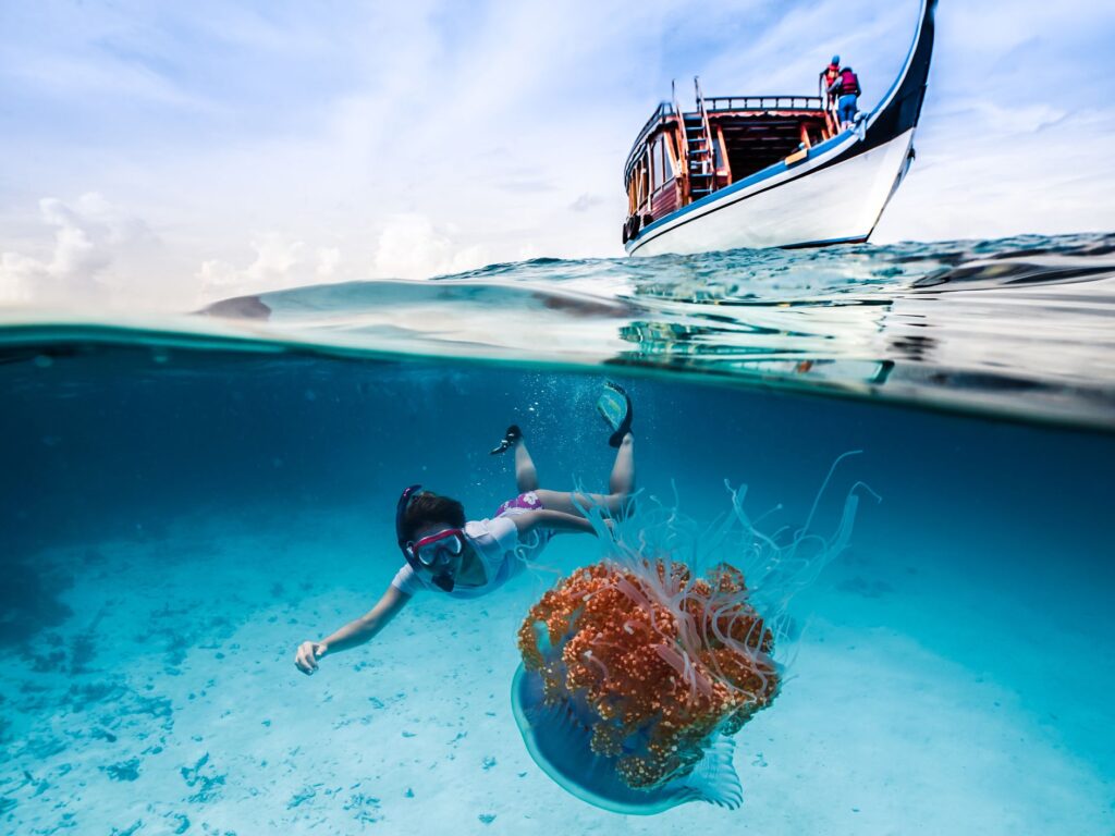 Snorkelling Maldives