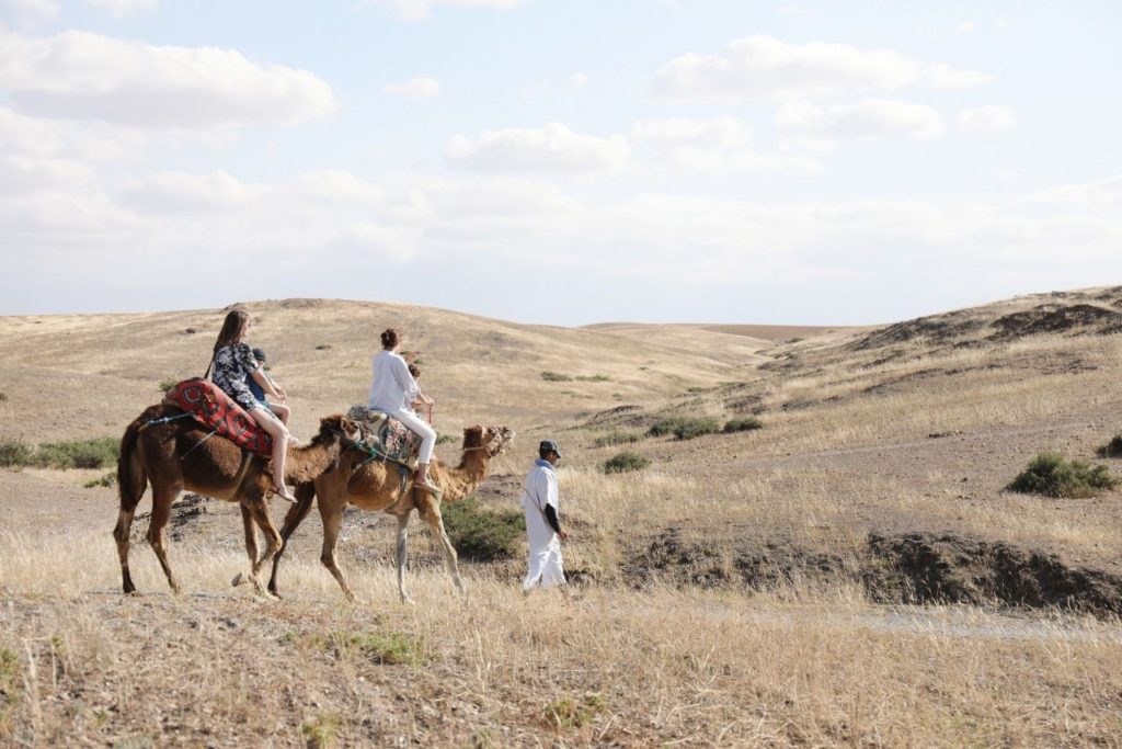 Morocco: Agafay Desert Camel Ride