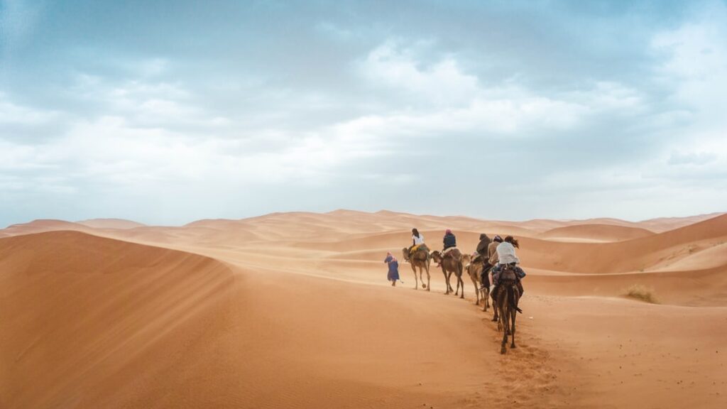 A camel train with riders traverse the Sahara Desert in Morocco