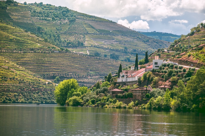 Pencil in plenty of pit-stops to taste the Douro Valley's famous vinho