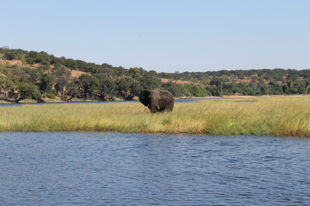 Zambia