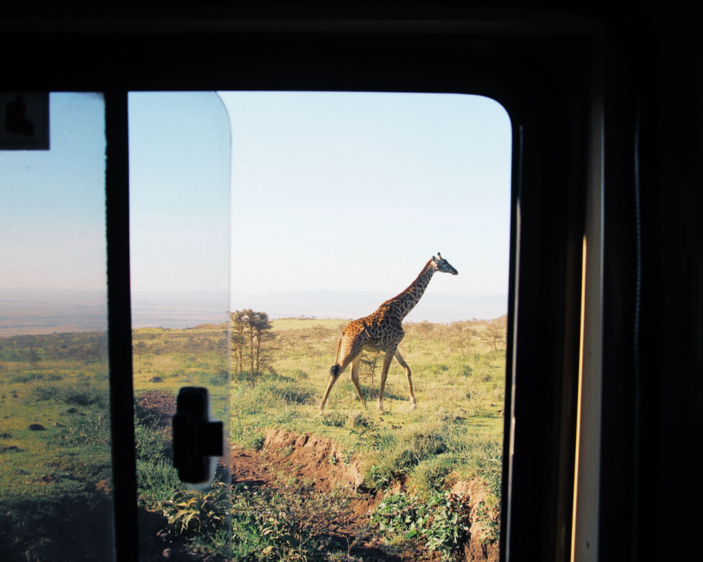 Nemo Travel What To Pack on Safari