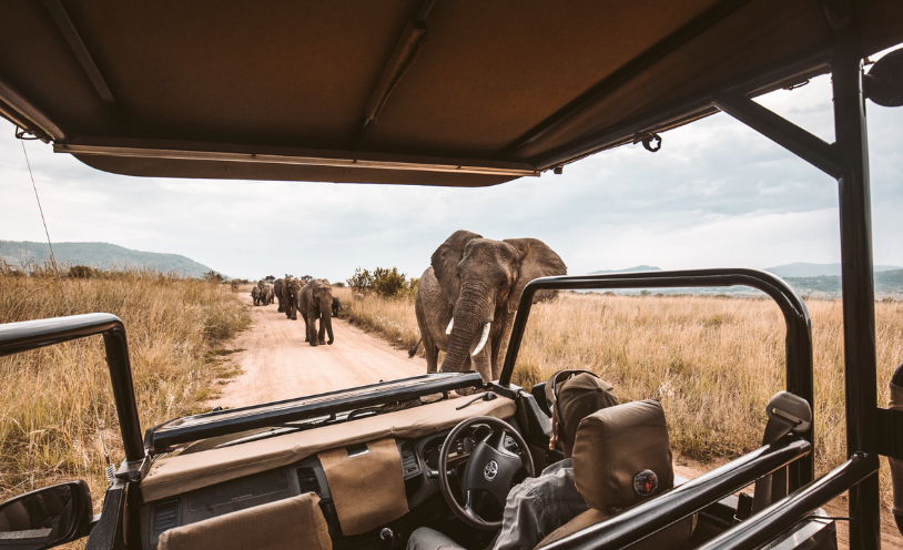 Nemo Travel What To Pack on Safari