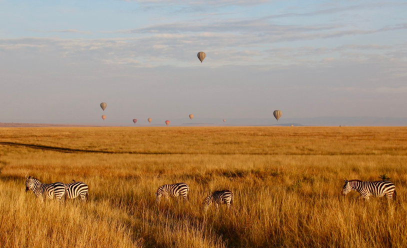 Nemo Travel Kenya