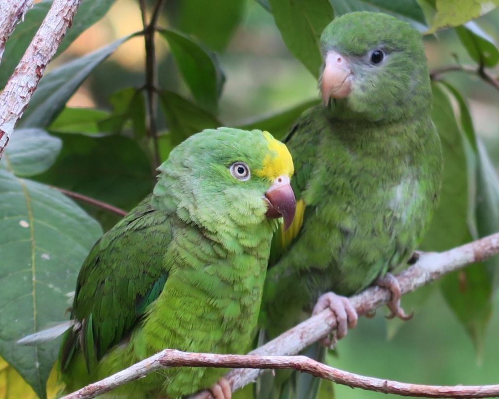 Top Honeymoon Destinations 2023