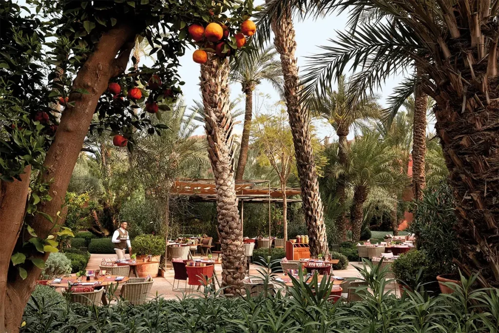 Where to eat and drink in Marrakech