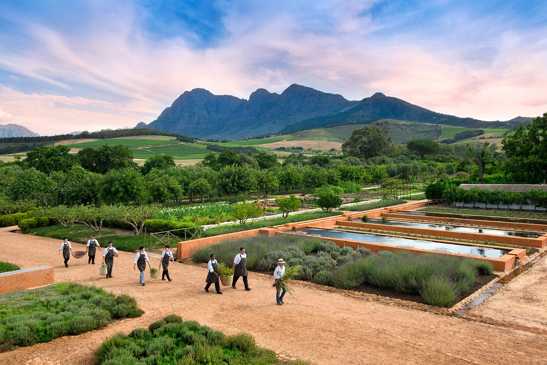 Where To Eat and What To Do in The Winelands