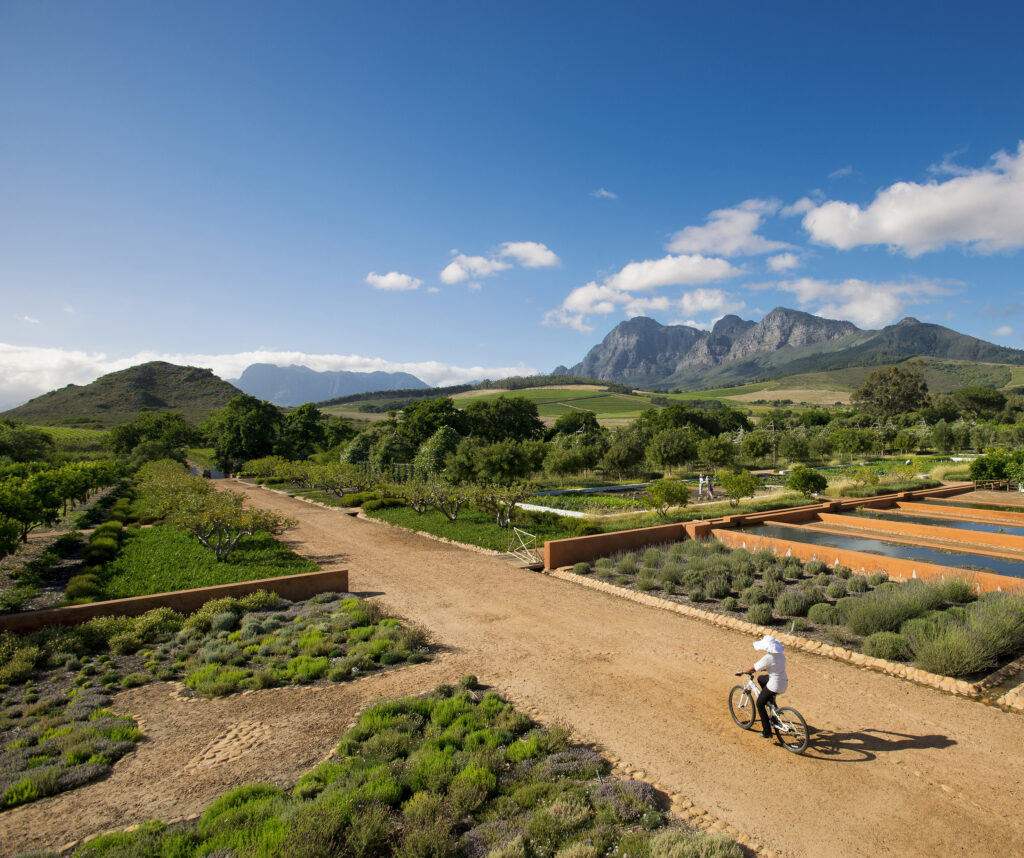 Babylonstoren Cycling