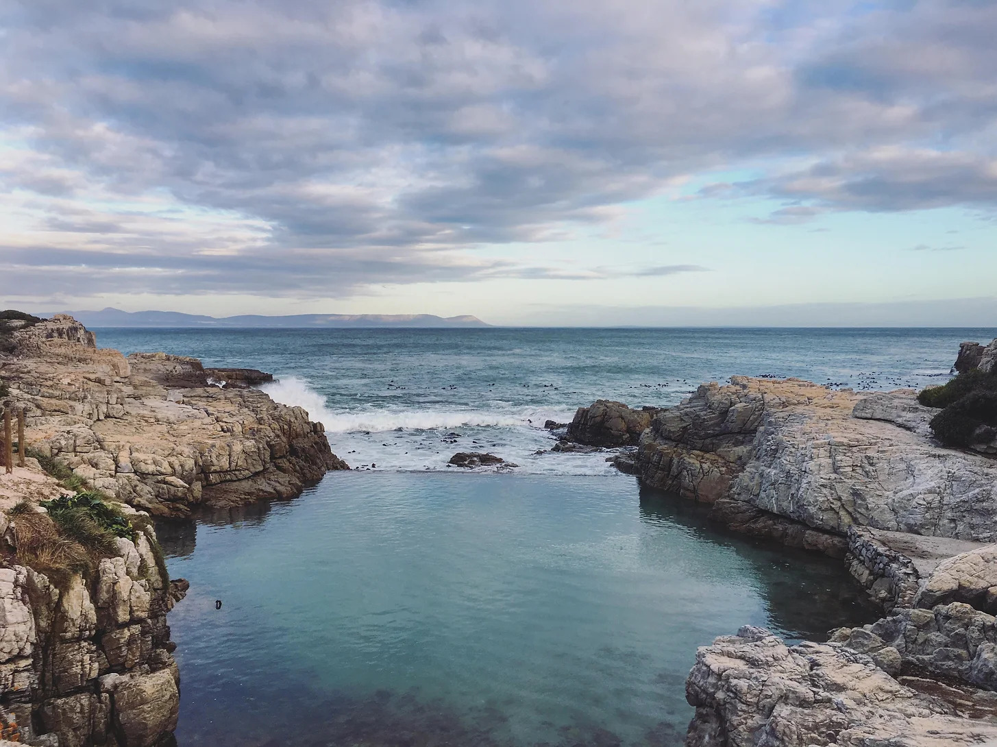 Where To Eat/Drink and What To Do In Hermanus