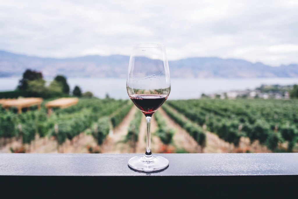 Where To Eat/Drink and What To Do In Hermanus