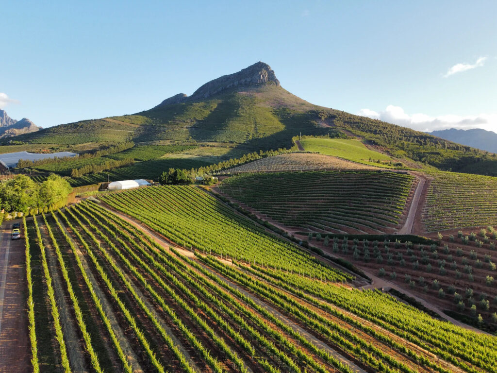 Where To Eat/Drink and What To Do In Hermanus