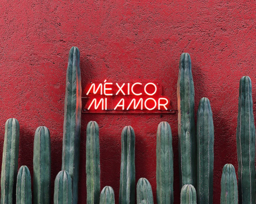 Where to Eat and What to do in Mexico City