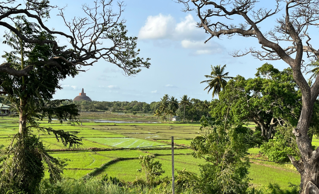 independent travel sri lanka