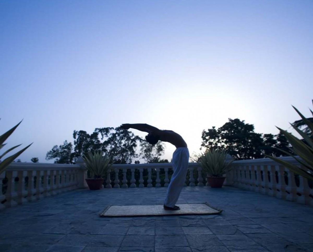 Ananda in the Himalayas