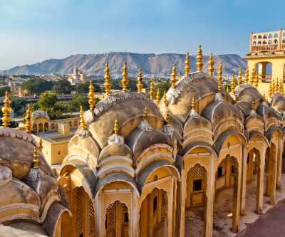 Tigers and India's Golden Triangle