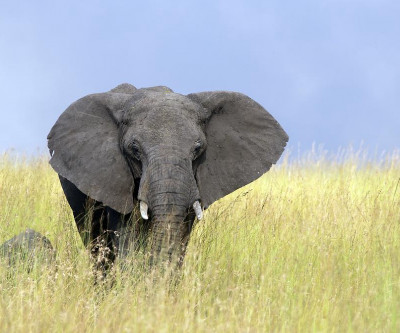 Tanzania's Northern Circuit
