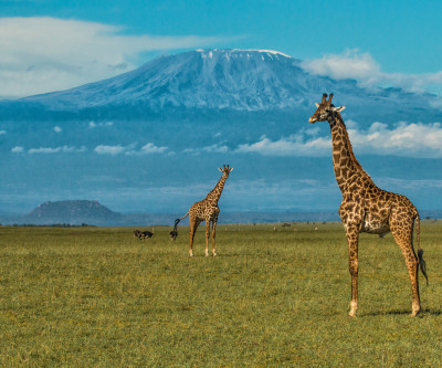 Ultimate Kenyan Safari