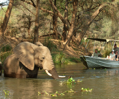 Zambian Highlights