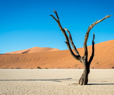 Namibia Self-Drive Adventure