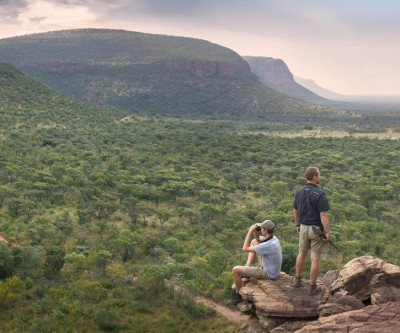 Crowd Escaping South African Safari