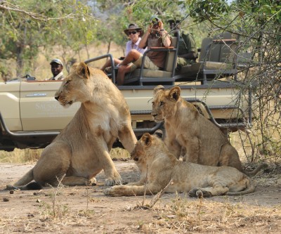 Zambian Highlights