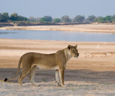 Zambia & Lake Malawi Honeymoon