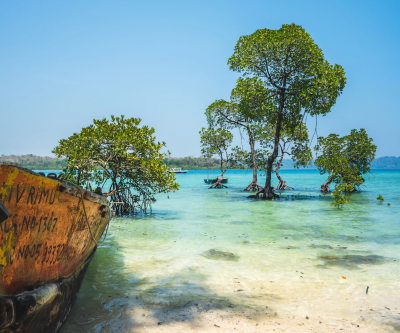 Indian & Andaman Islands: Rajasthan's Palaces, Safari & Beach