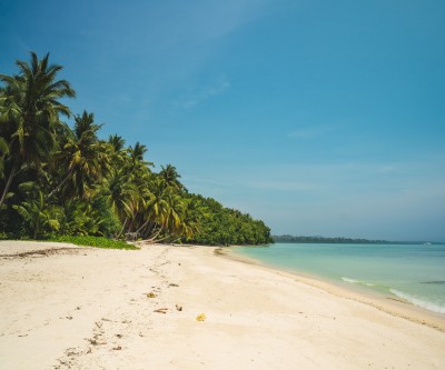 India: Palaces, Leopards & Beaches