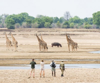 Zambia Safari and Victoria Falls Honeymoon