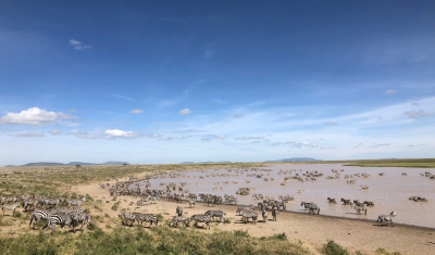 Northern Tanzania & Zanzibar Honeymoon