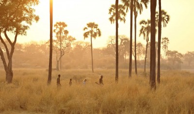 Southern Tanzania & Zanzibar Honeymoon