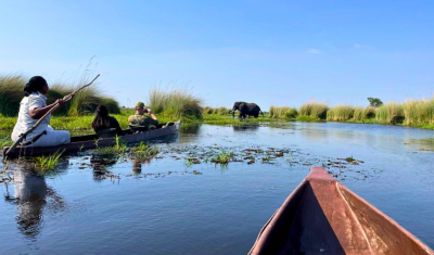 Botswana Safari & Victoria Falls Honeymoon
