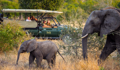 South Africa & Mozambique Honeymoon