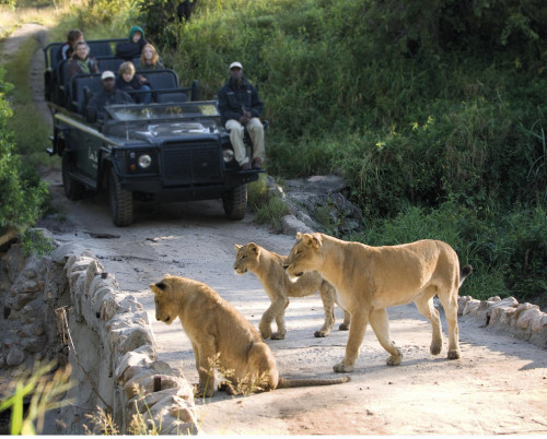 Lion Sands River Lodge