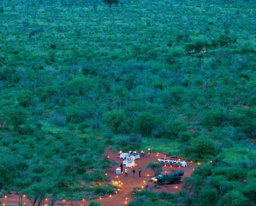 Madikwe Safari Lodge