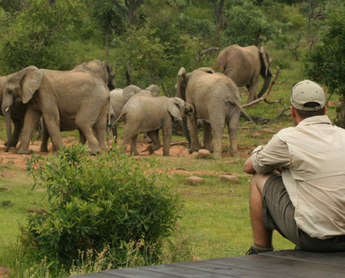 Makweti Safari Lodge