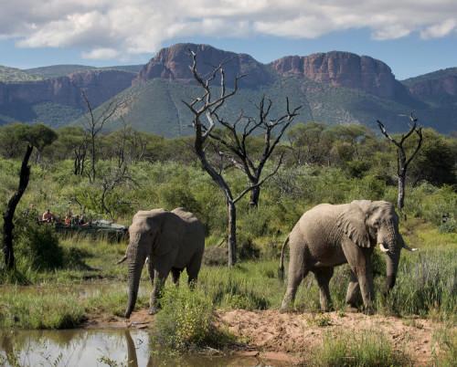 Marataba Safari Lodge