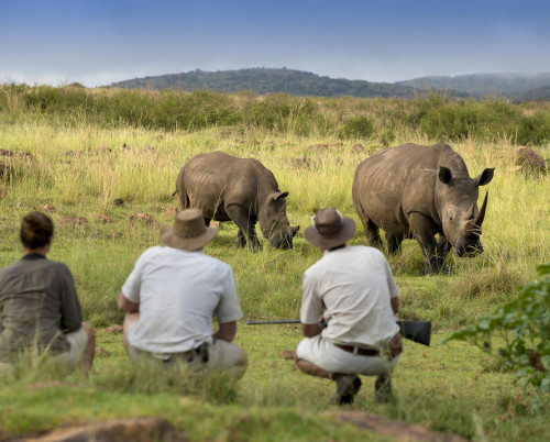 Mhondoro Safari Lodge