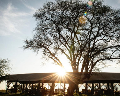 Serengeti Safari Camp