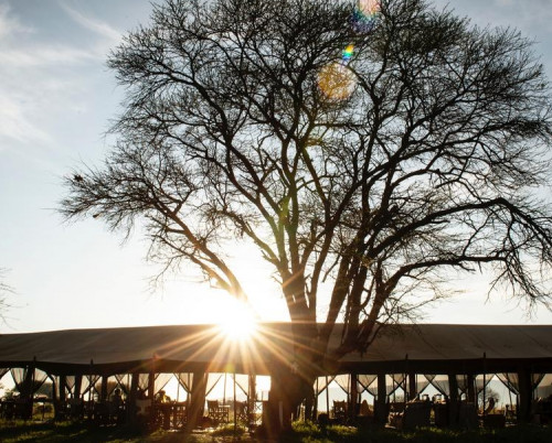 Serengeti Safari Camp