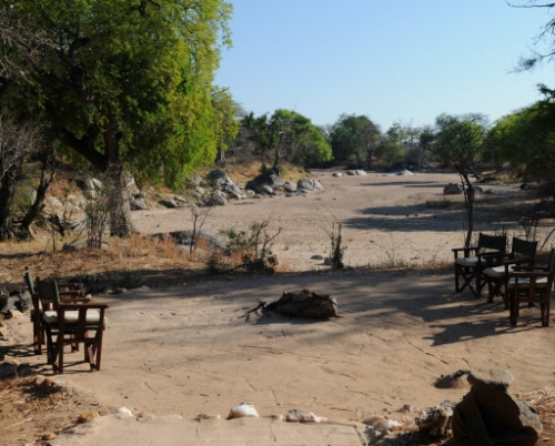 Mwagusi Safari Camp