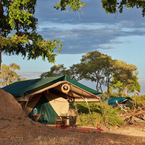 Mdonya Old River Camp