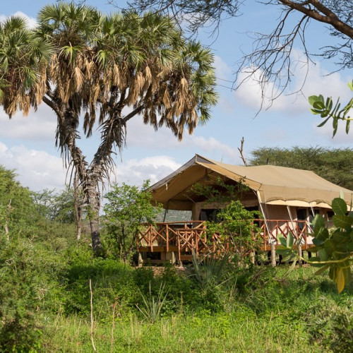 Elephant Bedroom Camp