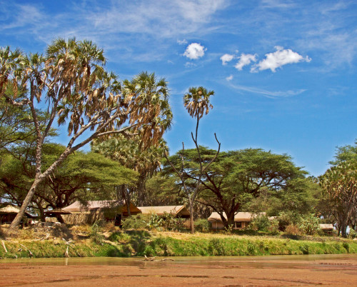 Elephant Bedroom Camp