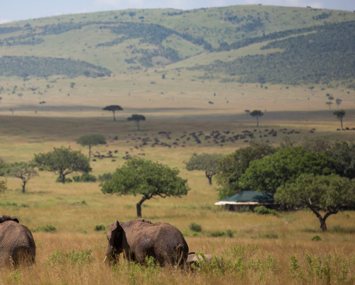 Sand River Mara